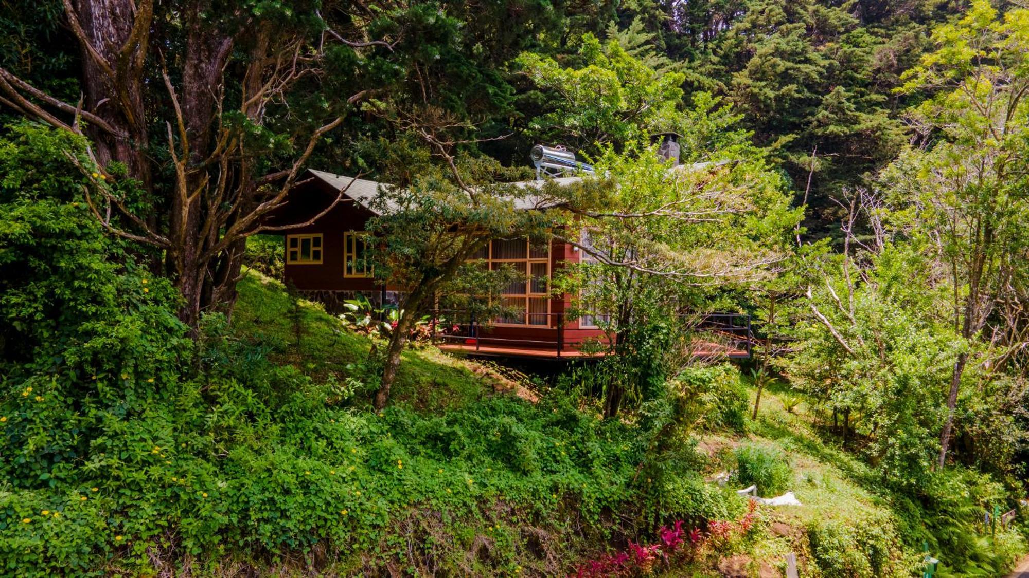 Los Pinos Cabins & Reserve Monteverde Exteriér fotografie