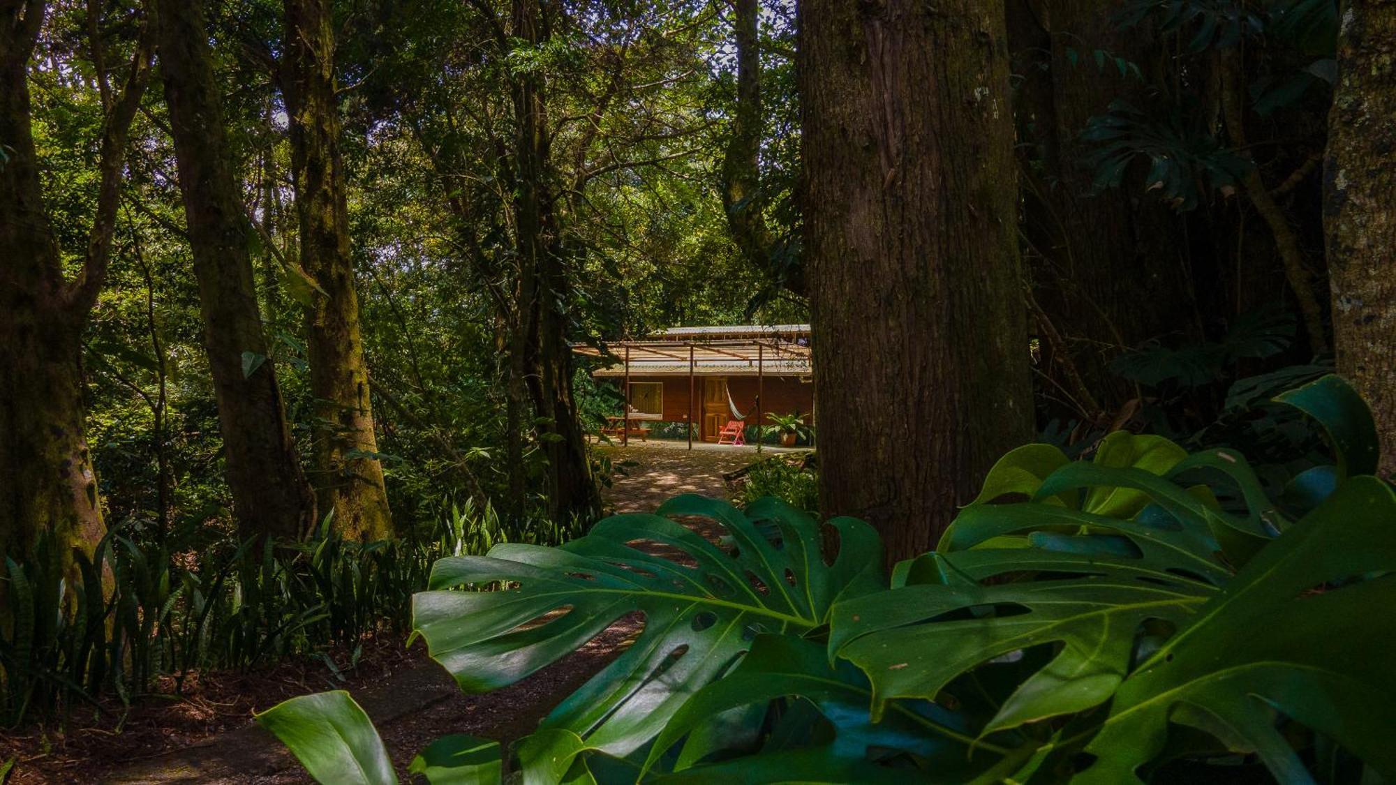 Los Pinos Cabins & Reserve Monteverde Exteriér fotografie