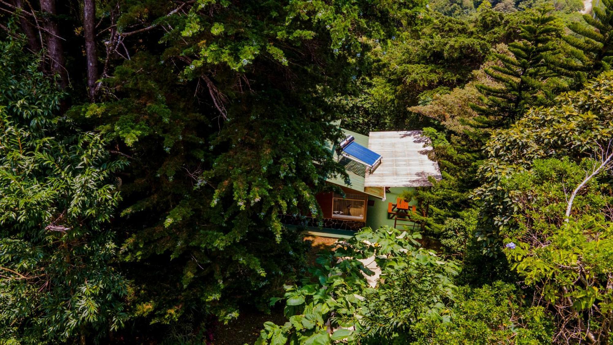 Los Pinos Cabins & Reserve Monteverde Exteriér fotografie