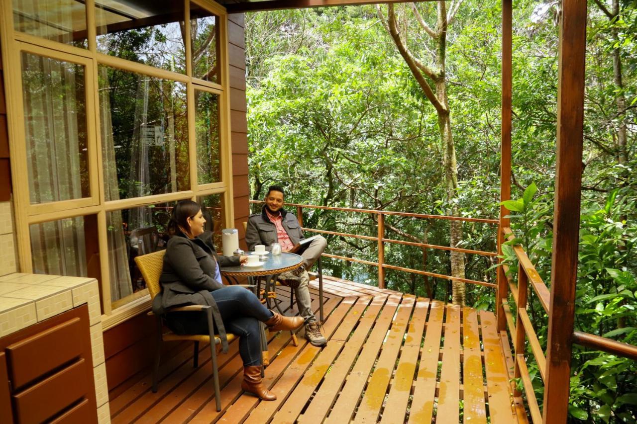 Los Pinos Cabins & Reserve Monteverde Exteriér fotografie